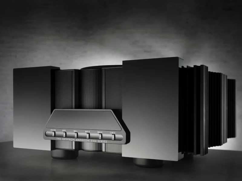 Gryphon Audio Antileon EVO Mono Power Amplifier (pair) - Image 6