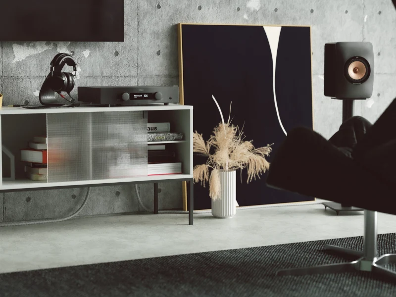 Hegel H95 Integrated Streaming Amplifier - Image 5