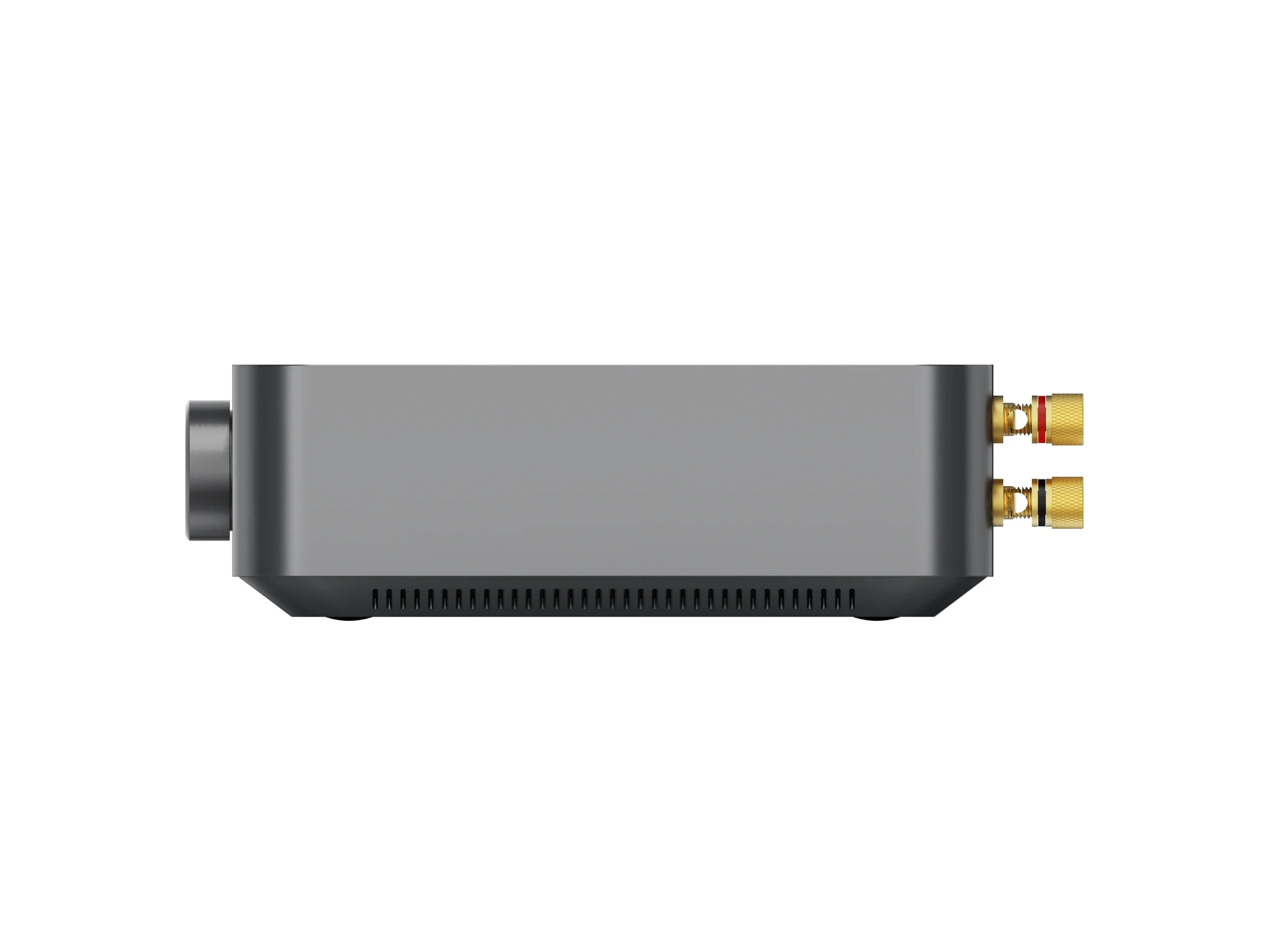WiiM Amp Streaming Amplifier - Image 4